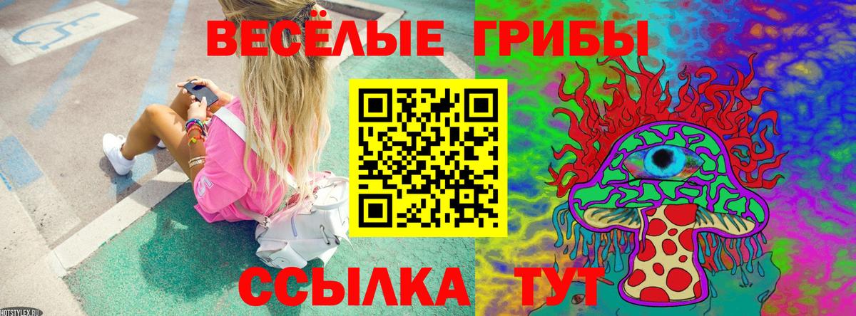Галлюциногенные грибы мицелий Зима