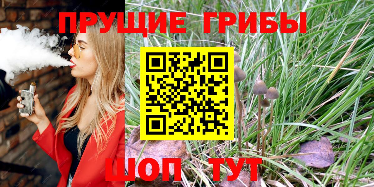 Зима  Галлюциногенные грибы GOLDEN TEACHER  Вход с VPN  Псилоцибиновые грибы ЛСД 