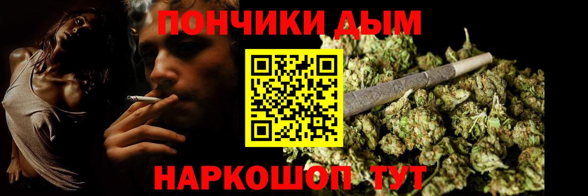 Каннабис планчик  Бошки Шишки сатива  Вход с VPN  Зима  Марихуана ГИДРОПОН 