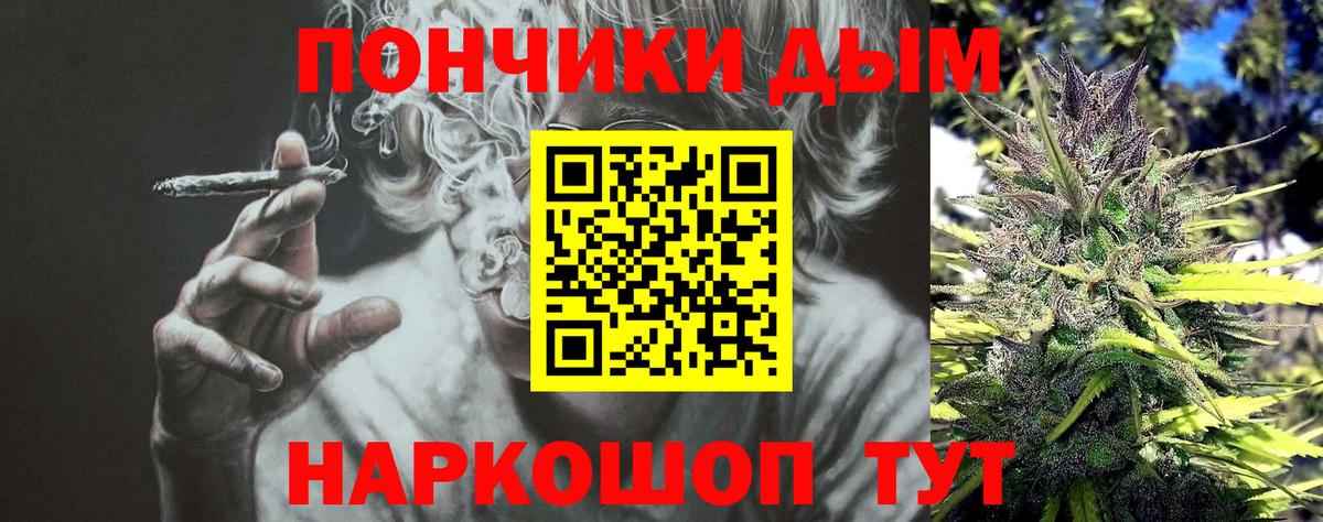 Шишки марихуана гибрид Зима